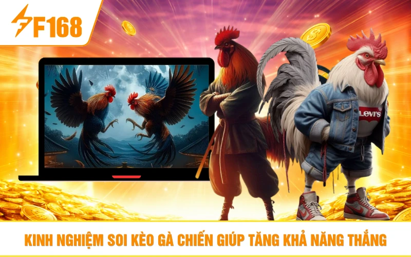 Kinh nghiệm soi kèo gà chiến giúp tăng khả năng thắng