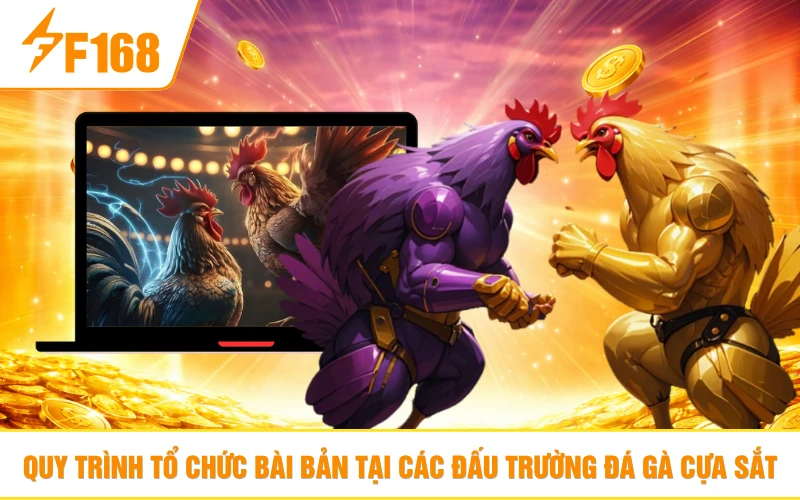 Quy trình tổ chức bài bản tại các đấu trường đá gà cựa sắt