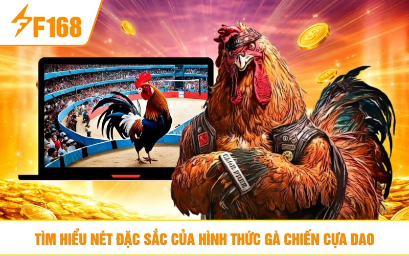 Tìm hiểu nét đặc sắc của hình thức gà chiến cựa dao